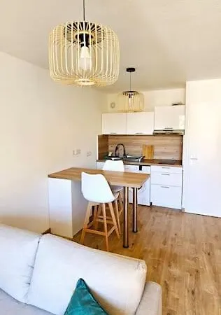 T3 Duplex Centre - Parking - Gare - Thermes